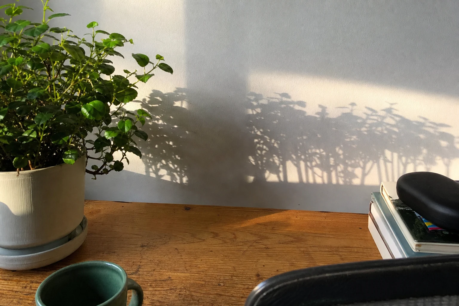 Shared version of Does that shadow look like something else to you?